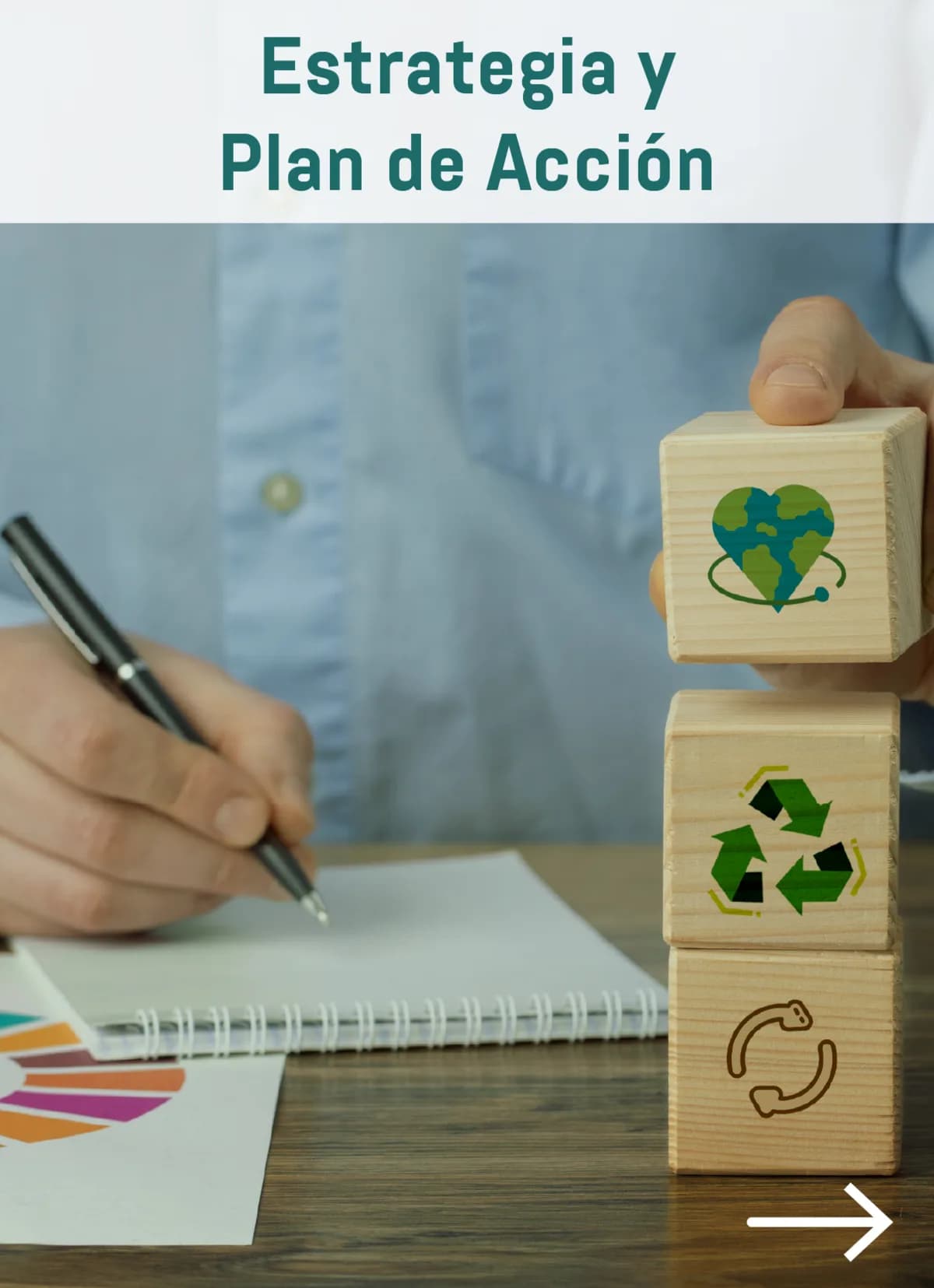 Estrategia y Plan de Acción