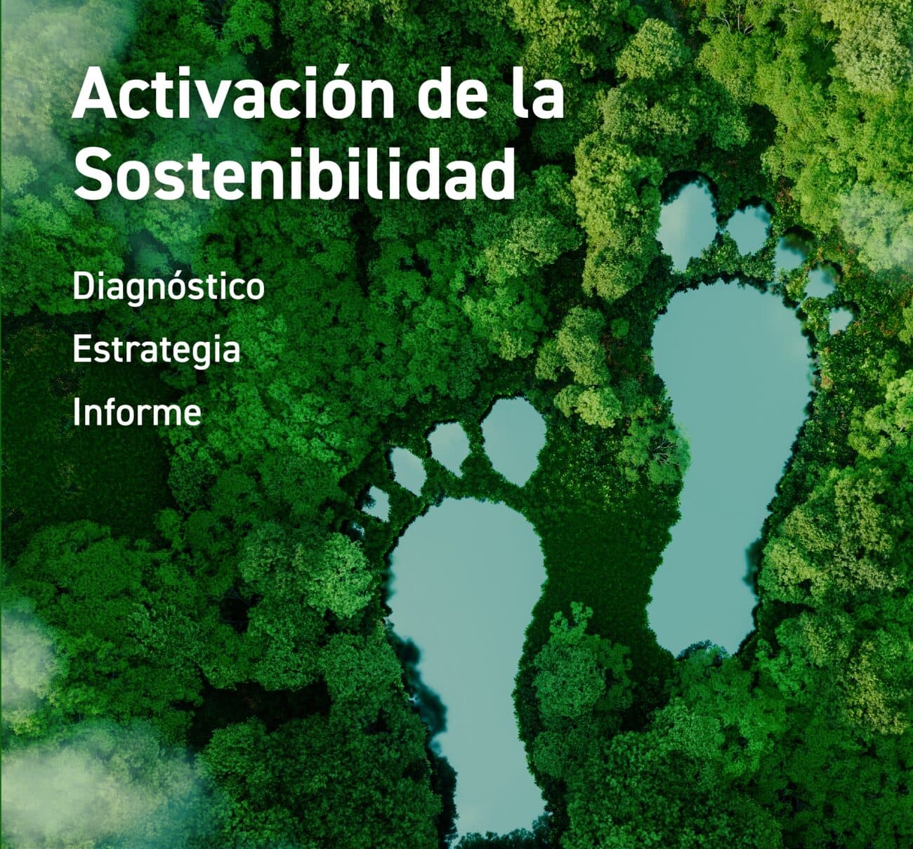 Impulsa la sostenibilidad de tu empresa