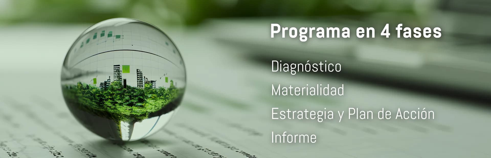 Programa en 4 fases